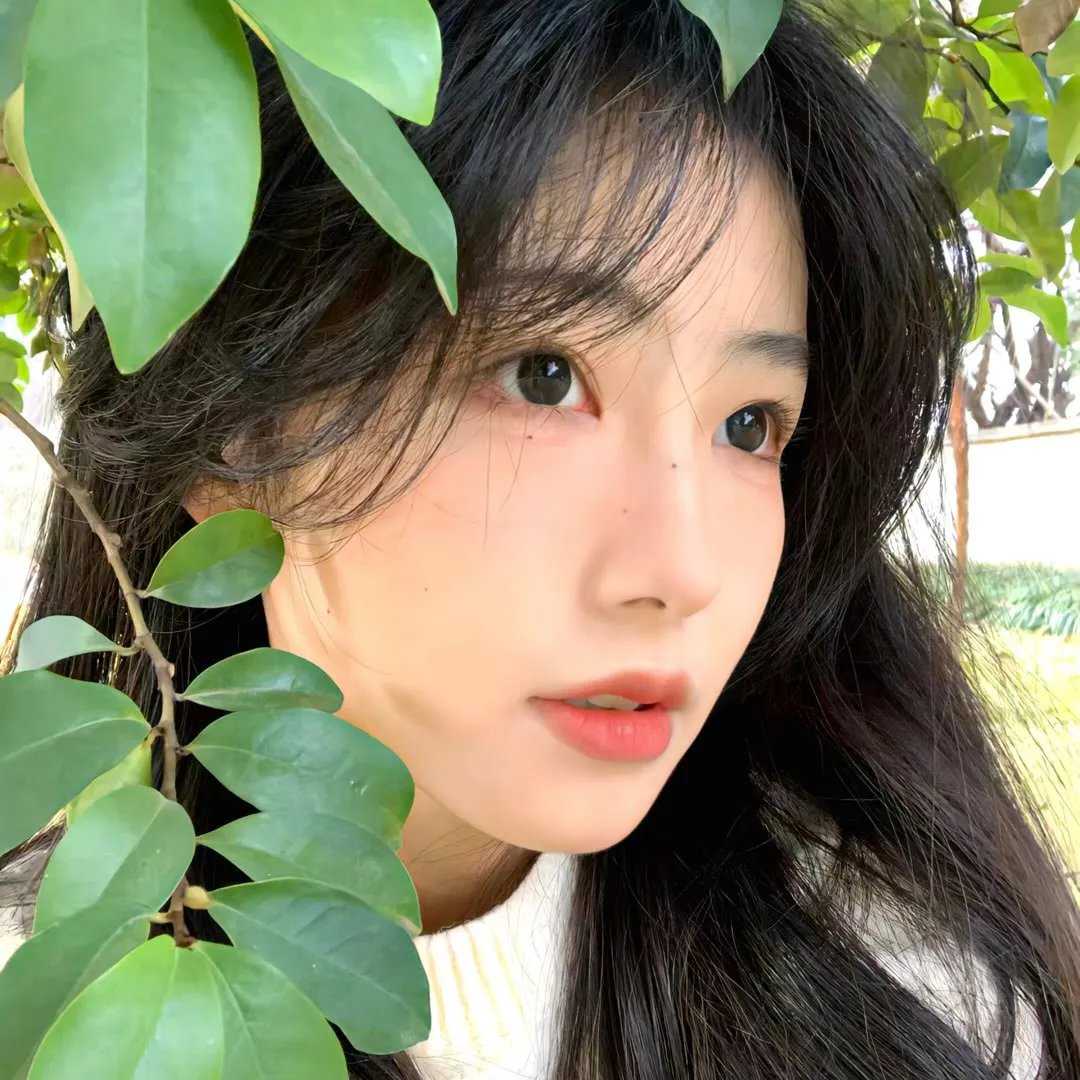奔跑吧风扇